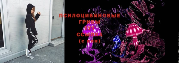 спайс Алзамай