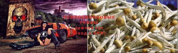 метамфетамин Алексеевка