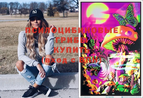 метамфетамин Алексеевка