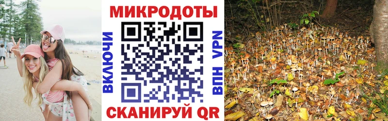 Галлюциногенные грибы Cubensis  Новоаннинский 